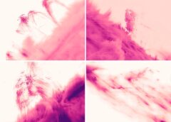 Scientists capture never-before-seen plasma streams and bizarre ‘raindrops’ in sharpest-ever view of sun’s outer atmosphere (video)