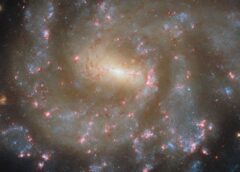 Hubble Captures Starry Spectacle