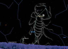 See the moon shine with famous red star Antares in the southern sky on June 9