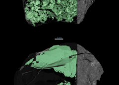Solving Asteroid Bennu’s Mysteries