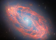 Webb Spots Details in Nearby Spiral Galaxy