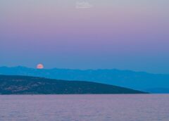 APOD: 2026 August 1 – Buck Moon and Belt of Venus