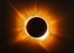 APOD: 2026 August 17 – A Golden Corona Eclipse