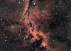 APOD: 2026 August 20 – The Elephant’s Trunk in Cepheus