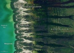 Bountiful Roebuck Bay 