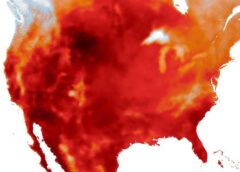 Europe’s Scorching Summer