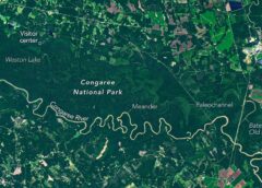 The Forested Floodplains of Congaree National Park