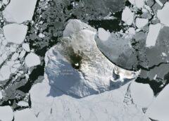 A Bright Spot at Mount Michael
