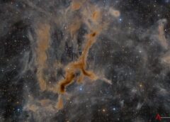 APOD: 2026 September 10 – LDN 1295: The Giraffe Nebula