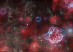APOD: 2026 September 24 – The Ghosts of Five Supernovas