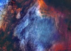 APOD: 2026 September 7 – The Pelican Nebula in Gas, Dust, and Stars