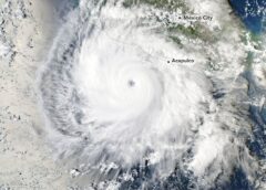 Explosive Intensification for Hurricane Polo