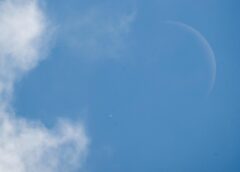 Lunar Occultation of Venus