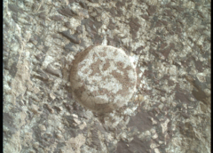 Mars Has Its Charmes