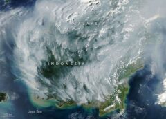 Peatland Fires Darken Skies in Indonesia