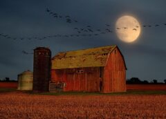 What’s Up: September 2026 Skywatching Tips from NASA