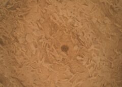 Curiosity Blog, Sols 5016–5021: Fantastic Minerals and How To Detect Them